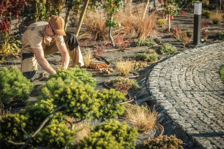 Planting New Garden Trees