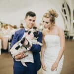 Stylish bride and groom hugging and having fun with pug dog in bow tie